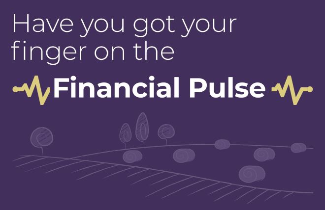 Financial Pulse Newsletter - Summer 2025 - Navigating Retirement Options