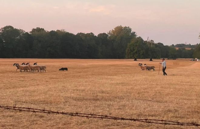 Why building retirement income has never been more important for farmers
