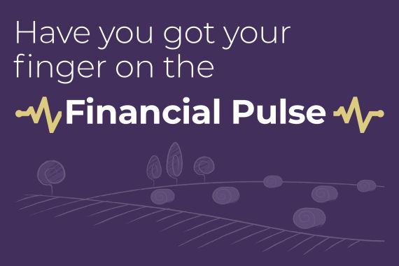 Financial-Pulse.jpg