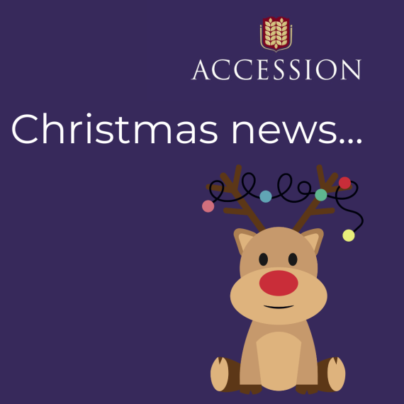 Christmas newsletter 2025.png