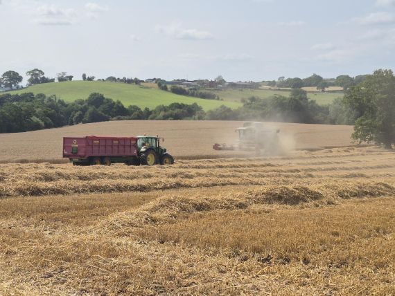 Oct - harvest photo.jpg